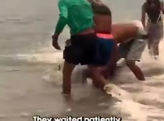 I0202006 Helpless Dolphin Saved by Kind (Part 2)