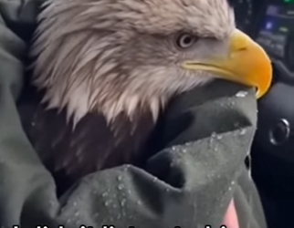 P1602008 This rescue meant tomorrow (Part 2)