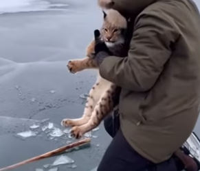 P1602016 “I don’t know what he went through under the ice… I only know he was still alive （Part 2)