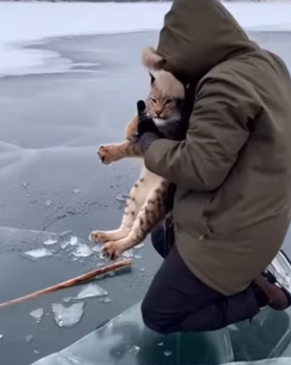 P1602016 “I don’t know what he went through under the ice… I only know he was still alive （Part 2)