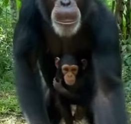 P1602017 Care answered the silent call (Part 2)