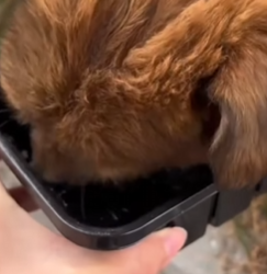 M1602002 💔“Me quedé ciego… y por eso me dejaron solo en la calle” (Parte 2)