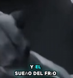 M1602023 “Me dejaron morir bajo la nieve… y aún así seguí luchando 💔🐾” (Parte 2)