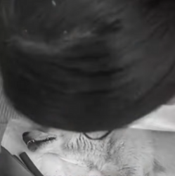 M1602001 💔“Tirado al borde de la muerte… un milagro lo salvó” (Parte 2)