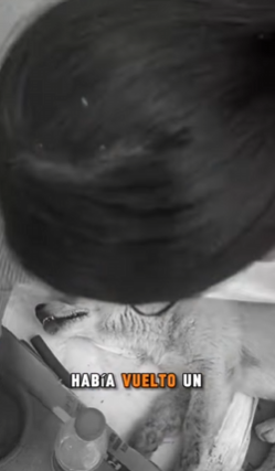 M1602001 💔“Tirado al borde de la muerte… un milagro lo salvó” (Parte 2)