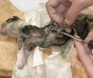 R0402007 El cuidado transformo el final (Parte 2)