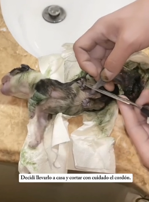 R0402007 El cuidado transformo el final (Parte 2)