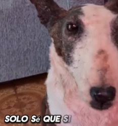 M1602010 💔“Ella me embalsamó por amor… y yo me quedé aquí, amándola entre parte 2