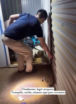 R0402013 Hoy alguien volvio a confiar (Parte 2)