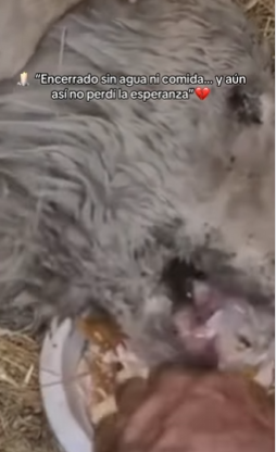 M1602014 🕯️ “Encerrado sin agua ni comida… y aún así no perdí la esperanza” (Parte 2)