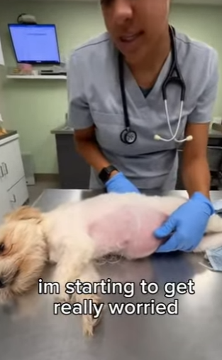 P1902017 I don’t know how much longer he has (Part 2)