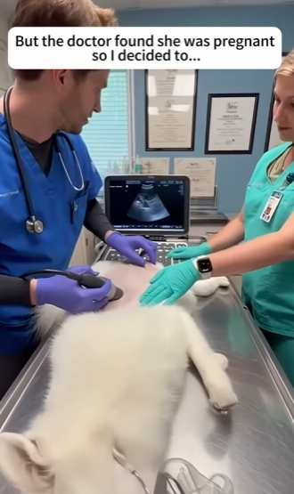 P1902011 I helped the nine tailed fox besieged by hyenas (Part 2)