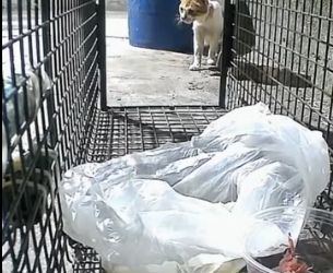 R0402004 La compasion eligio ayudar (Parte 2)