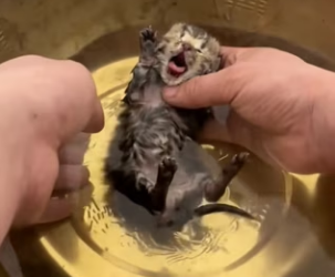 R0402005 El rescate devolvio la calma (Parte 2)