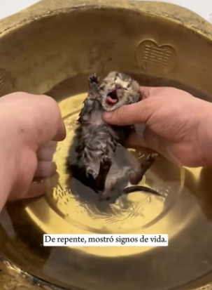 R0402005 El rescate devolvio la calma (Parte 2)