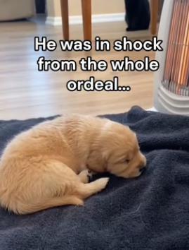 P1902003 Am I the only one on the verge of tears (Part 2)