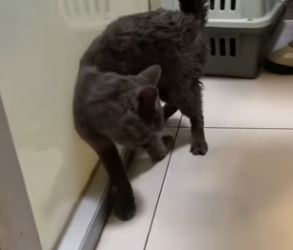 R0402002 La ayuda construyo seguridad (Parte 2)