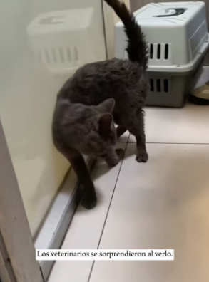 R0402002 La ayuda construyo seguridad (Parte 2)