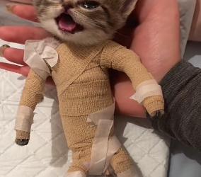 R0402010 Hoy la bondad hizo posible el cambio (Parte 2)