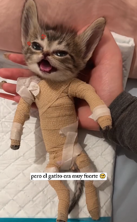 R0402010 Hoy la bondad hizo posible el cambio (Parte 2)