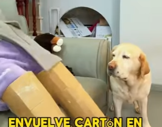 L1302008 A dog’s tail can actually be used as a weapon (Parte 2)