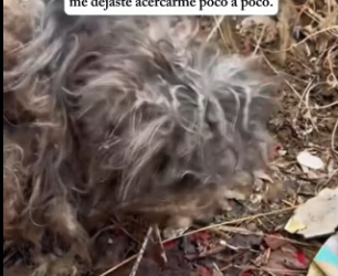 R0402011Una vida fue protegida hoy (Parte 2)