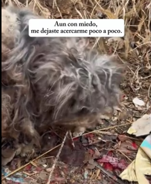 R0402011Una vida fue protegida hoy (Parte 2)