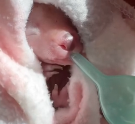 R0402009 Un gesto salvo una vida (Parte 2)