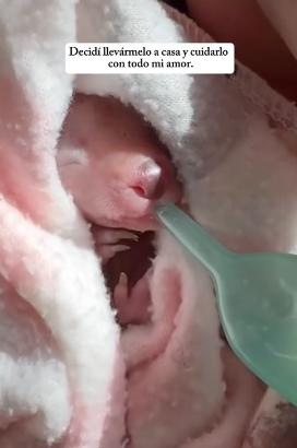 R0402009 Un gesto salvo una vida (Parte 2)