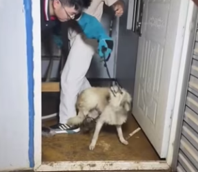 R0402013 La ayuda cambio su historia (Parte 2)