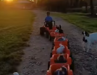 L1802012 The small farmer of animals (Parte 2)