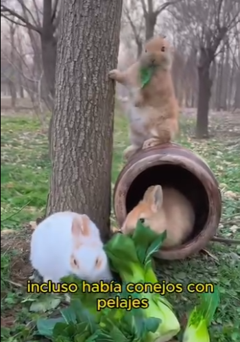 L1802030 Gentle courage made the change (Parte 1)