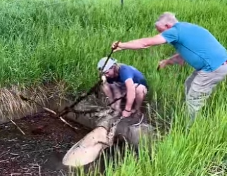 I1002018 Great job (Part 2)