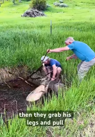 I1002018 Great job (Part 2)