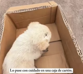 R0402006 La compasion abrio una salida  (Parte 2)