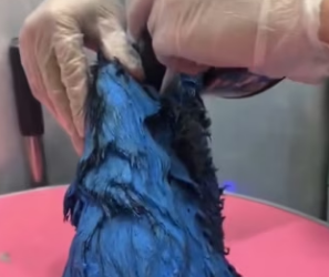 R0402008 De la angustia al alivio seguro (Parte 2)