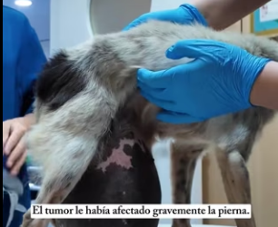 R0402014 El cuidado marco un nuevo comienzo (Parte 2)