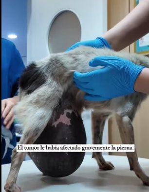 R0402014 El cuidado marco un nuevo comienzo (Parte 2)