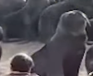 I1302001 Awesome job! (Part 2)