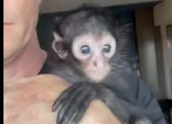 I1302002 Too cute (Part 2)