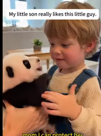 F1302003 saved panda (Part 2)