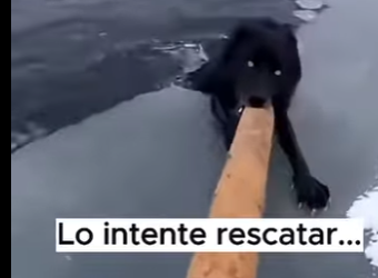 V1302002 Algunas elecciones definen no solo su vida, sino la nuestra (Parte 2)