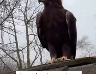 Algunas elecciones definen no solo su vida, sino la nuestra (Parte 2)