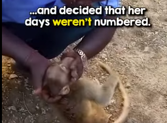 What an amazing person (Part 2)