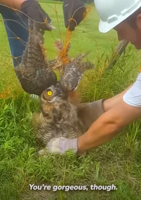 I1302011 Beautiful eyes (Part 2)