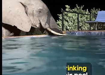 I1302009 encounter must have been amazing (Part 2)