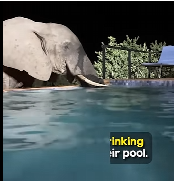 I1302009 encounter must have been amazing (Part 2)