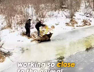 I1502003 Huge hearts great courage (Part 2)