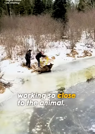 I1502003 Huge hearts great courage (Part 2)