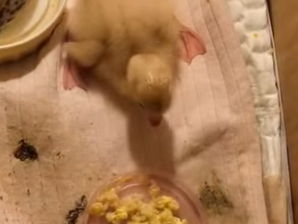 A0302001 Hoy comenzo una nueva vida (Parte 2)